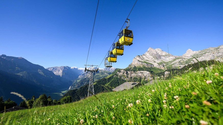 Braunwald