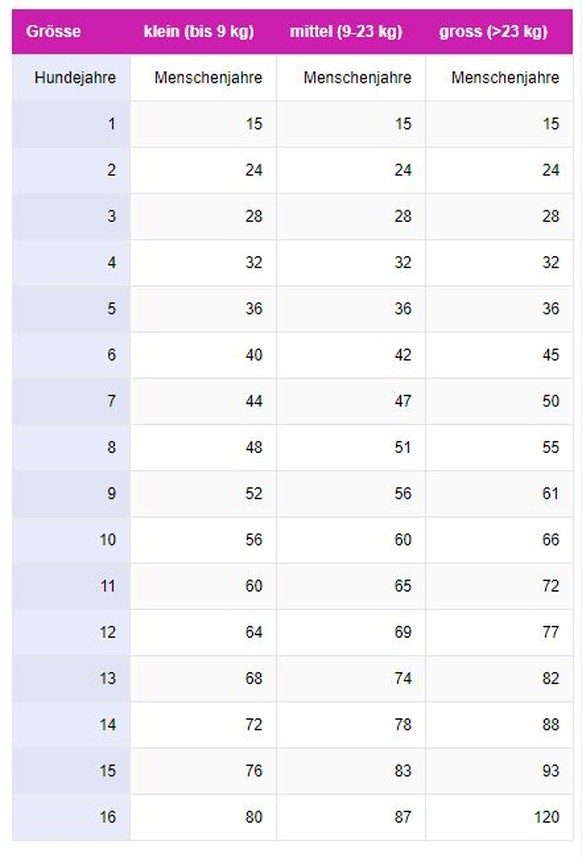 Tabelle Umrechnung Hundejahre in Menschenjahre