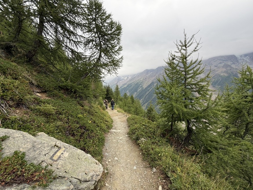 Lötschental Höhenweg Fafleralp lauchernalp Bergsturz Blatten 18. August 2026