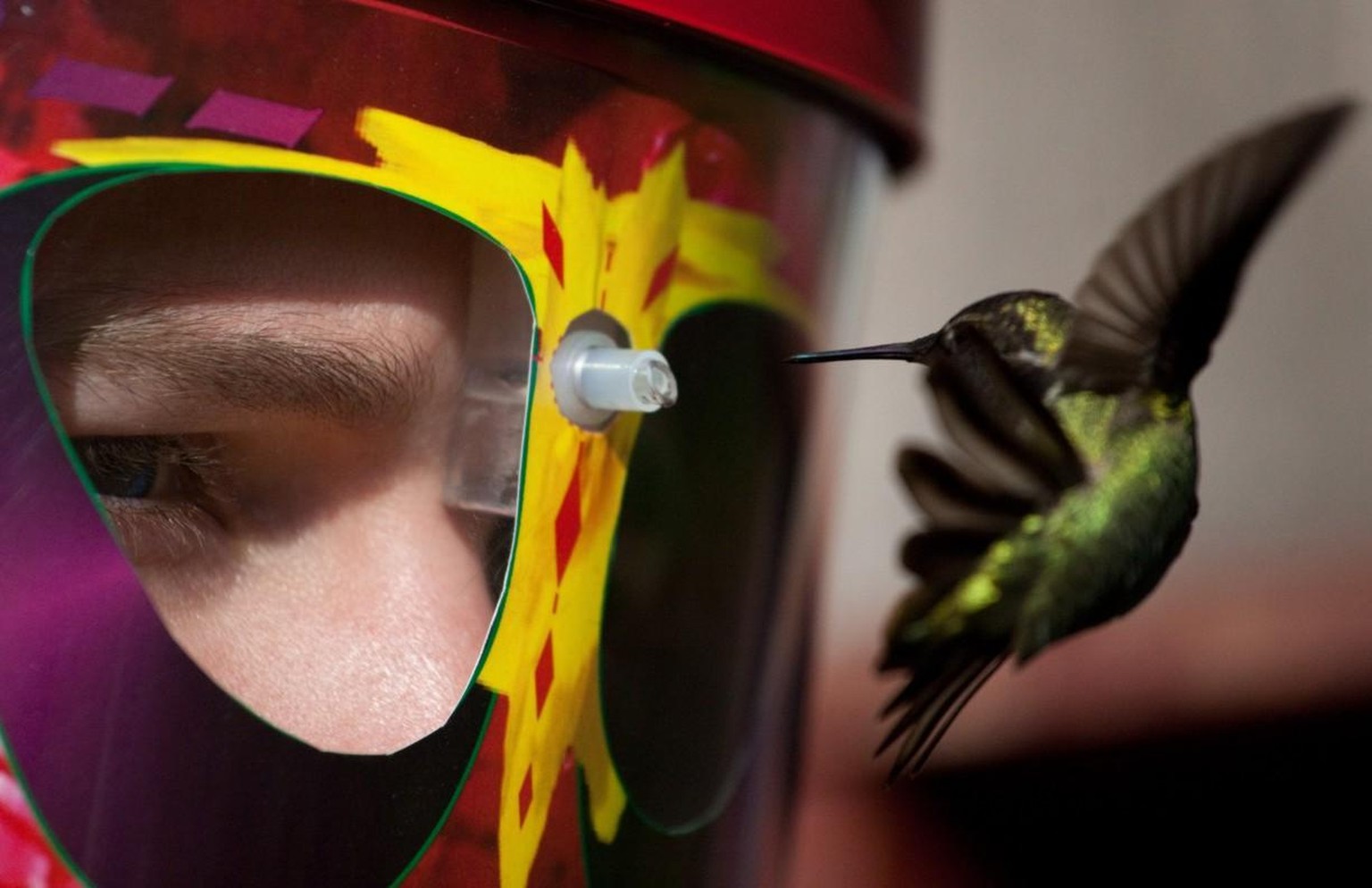 Die Kolibri-Fütterungs-Brille ist hier erhältlich.