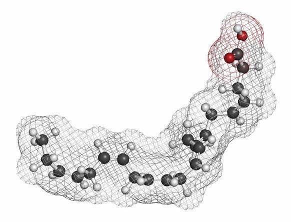 Omega-3-Fettsäure, Docosahexaenoic acid (DHA, cervonic acid) molecule. Polyunsaturated omega-3 fatty acid present in fish oil. Atoms are represented as spheres with conventional color coding: hydrogen ...