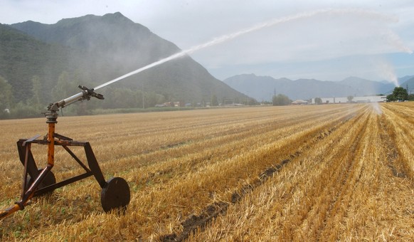 ZUR AGROSCOPE STUDIE „NACHHALTIGE WASSERNUTZUNG“ UEBER WASSERKNAPPHEIT IN DER SCHWEIZER LANDWIRTSCHAFT, STELLEN WIR IHNEN AM DIENSTAG 7. JANUAR 2014 FOLGENDES ARCHIVBILD ZUR VERFUEGUNG - 
Ein abgemae ...