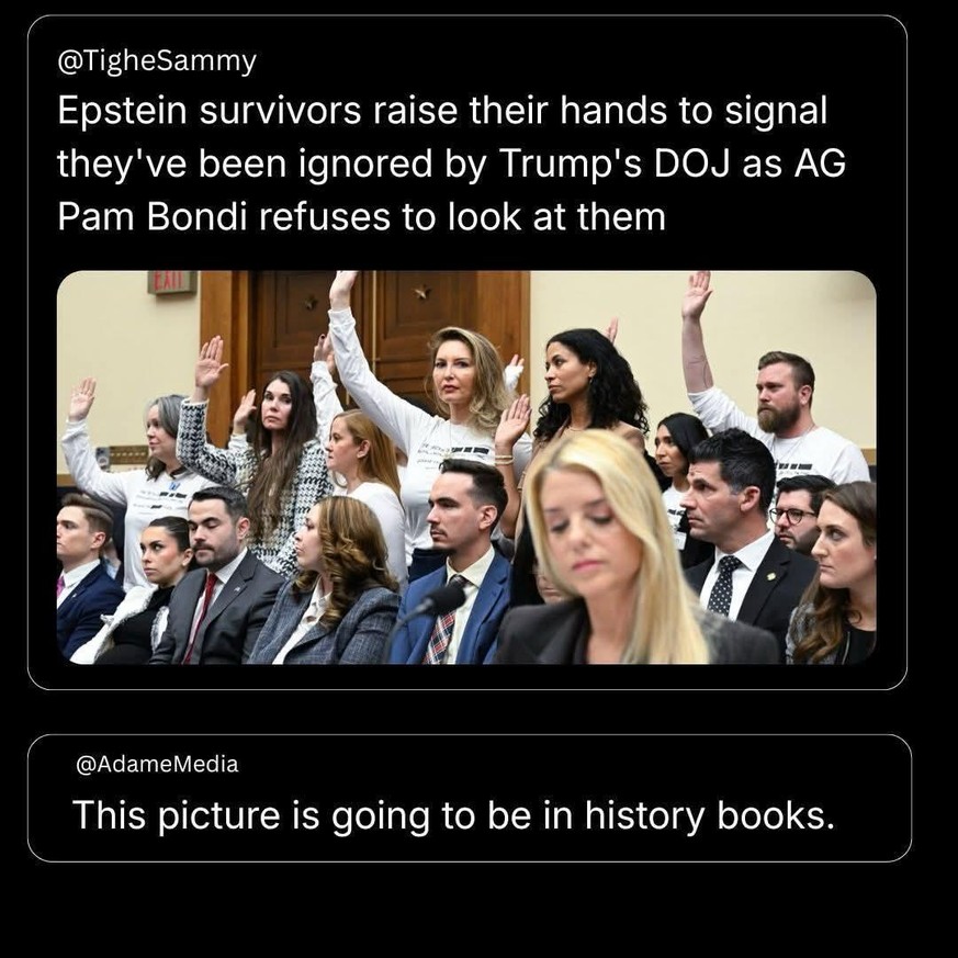 Tweet zu Trump Epstein Opfer (2026).