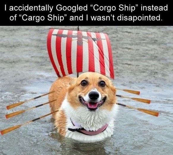 Corgo Ship

https://www.pinterest.com/pin/399976010641262943/
