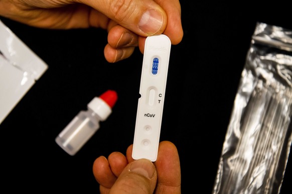 epa08317478 A view of a prodect by Dutch company Sensitest, known for pregnancy tests, which provides new quick tests for the coronavirus to hospitals, in Delfgauw, the Netherlands, 23 March 2020 (iss ...