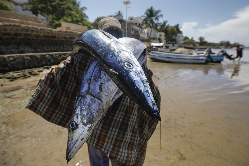 epa06631613 A colleague of forty-eight-year-old Kenyan fisherman Abdulaziz Omar (unseen) carries kingfishes caught by Omar on a beach in Shela on Lamu island in south-eastern Kenya, 24 March 2018 (iss ...