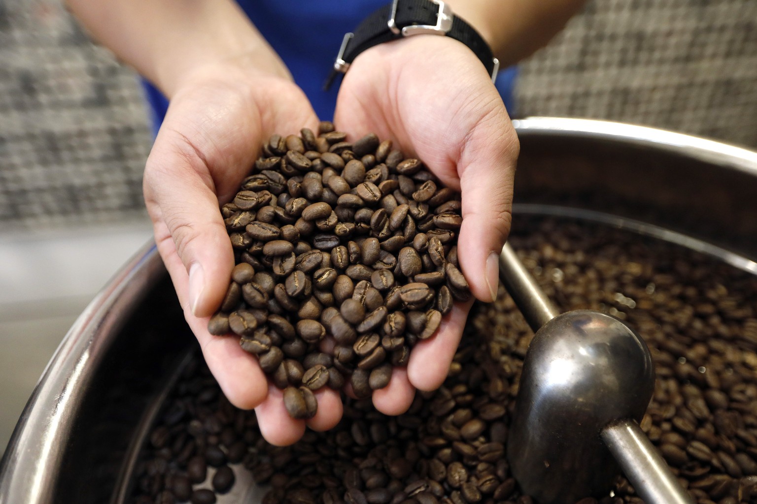 epa10896604 A man checks roasted coffee beans at a workshop in Hanoi, Vietnam, 03 October 2023. Vietnam?s coffee exports in the first nine months of 2023 decreased 7.3 percent in volume from the same  ...