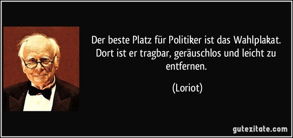 Was Politiker im Wahlkampf sagen und was sie wirklich damit meinen
*scnr* ^^