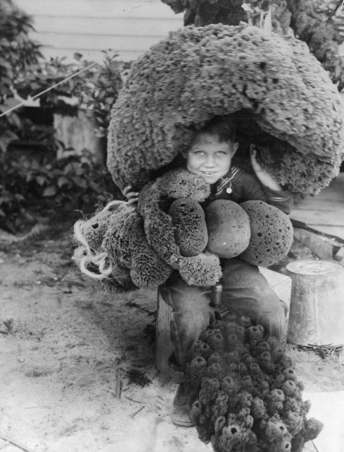 circa 1933: A very large sponge found in the marine grounfs of Key West, Florida being used as an umbrella by young Thomas Ralph. (Photo by General Photographic Agency/Getty Images)