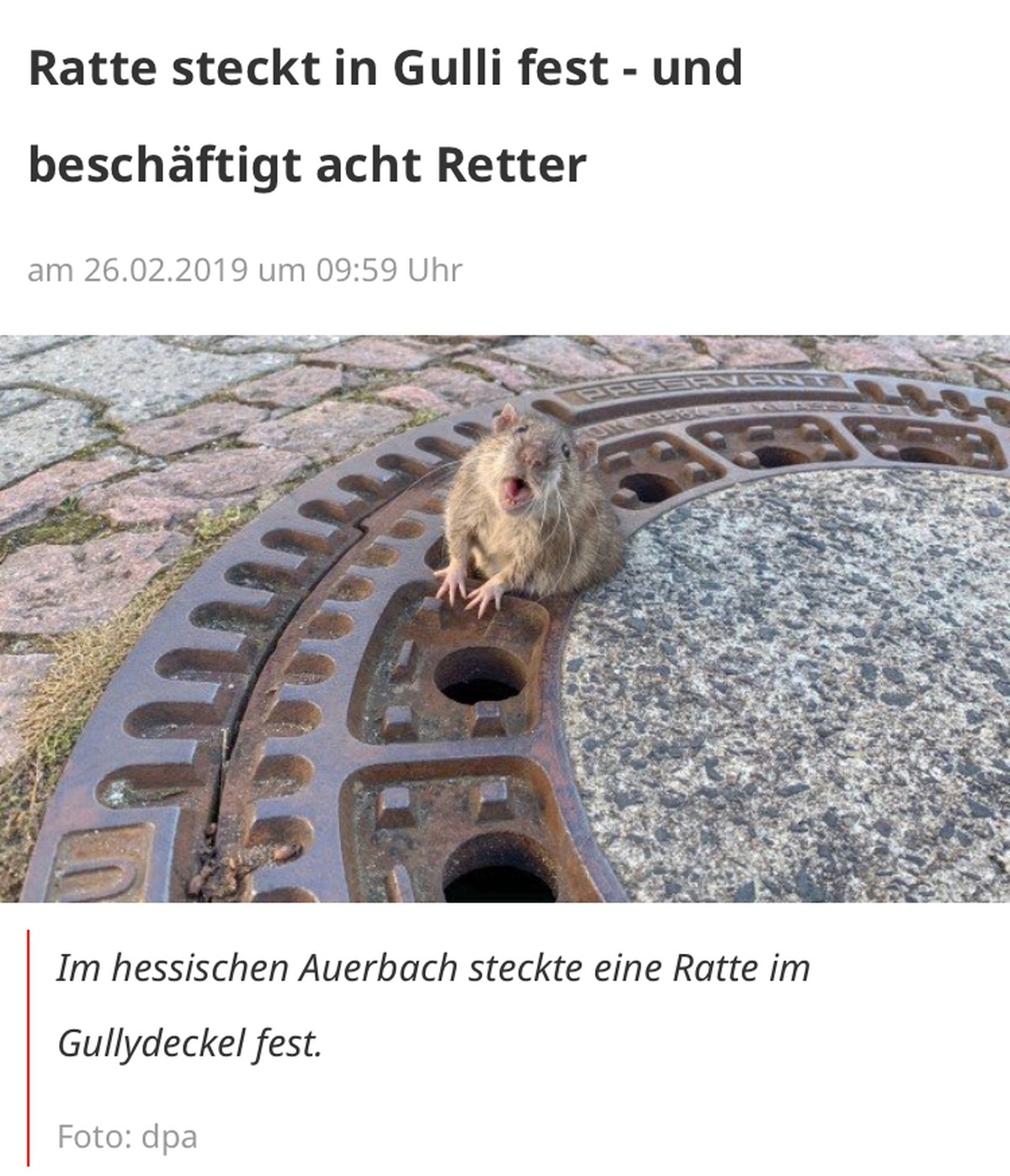 Dreimal dürft ihr raten, was jetzt kommt. (Jap, lustige Tierbilder)
(Gnihihihi) Der Blick...