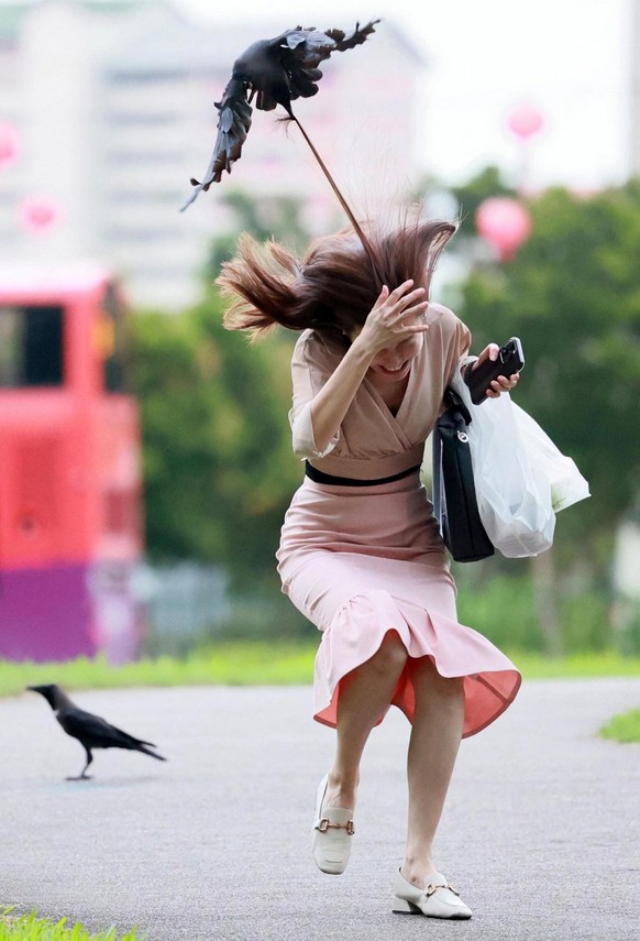 Bird pulls her Failed