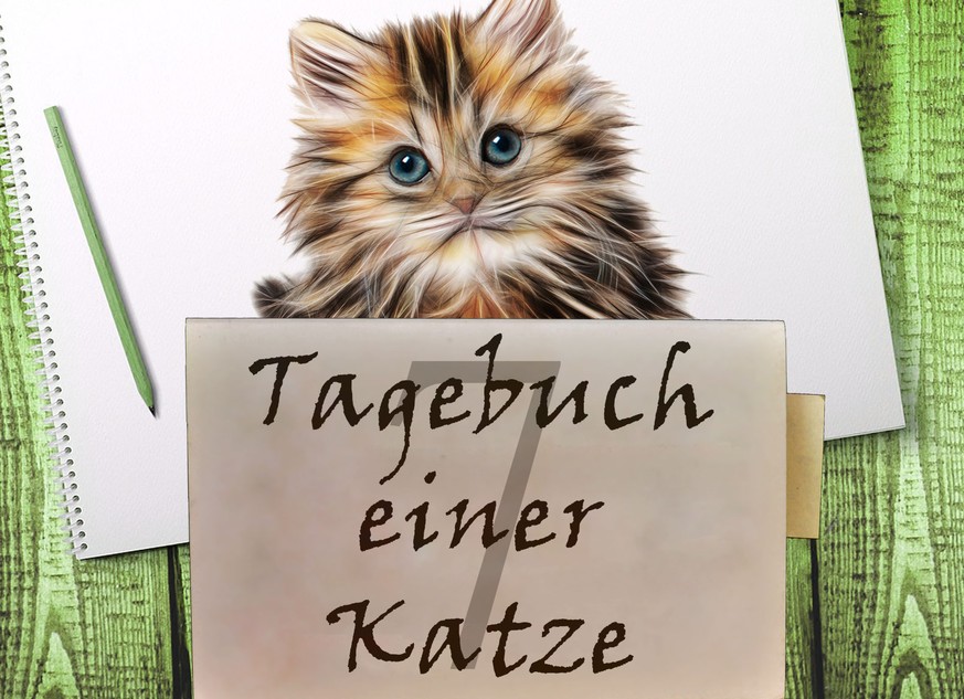 «Liebes Tagebuch, glaubst du an Liebe auf den ersten Blick?»