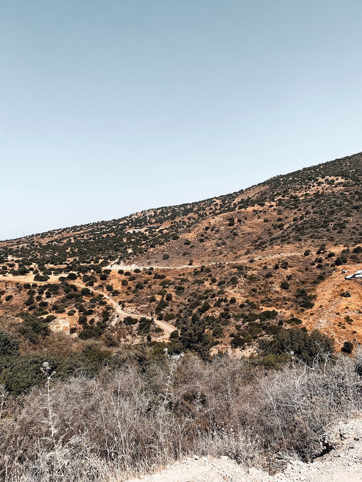 Die Steppenlandschaft auf dem Weg zum Adonis Bad.
