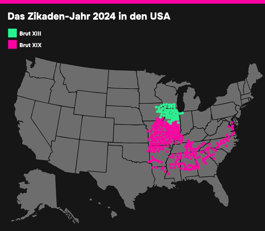 Karte Zikaden in den USA 2024