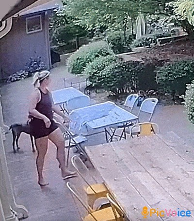 Animiertes GIF