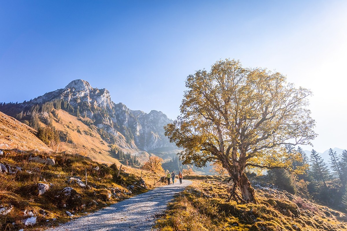 Herbsttäler Rauszeit Breccaschlund Schwarzsee