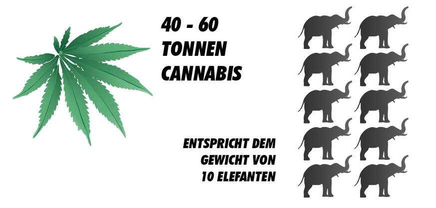 Cannabis Grafiken
