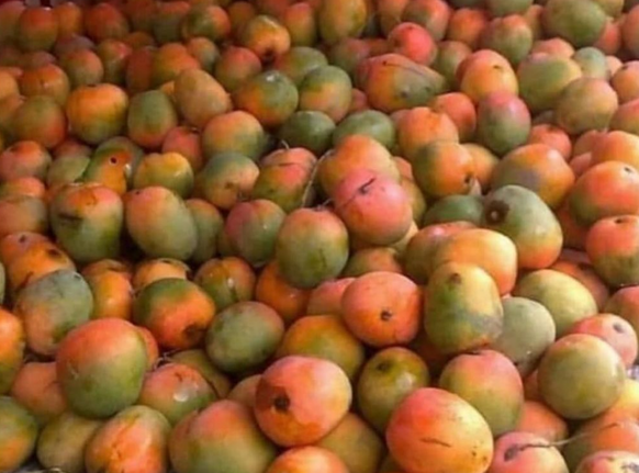 cute news tier papagai versteckt sich in mangos suchspiel

https://www.instagram.com/p/C0KC955sgw9/