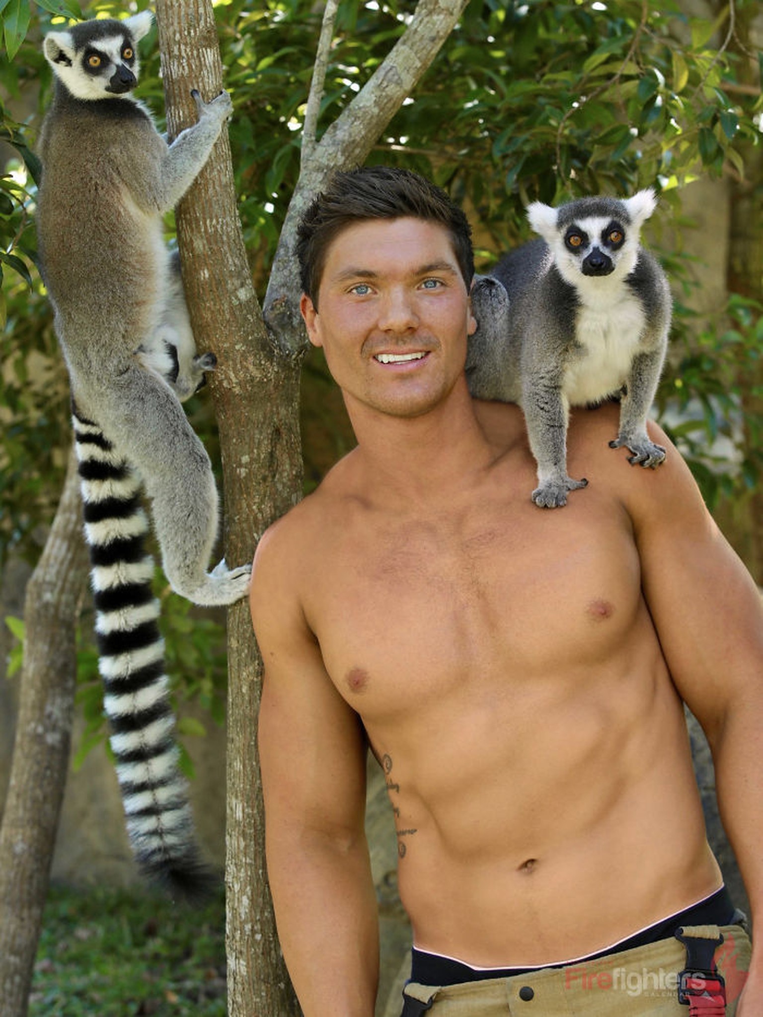 Resultado de imagen de wild animals sexy guy