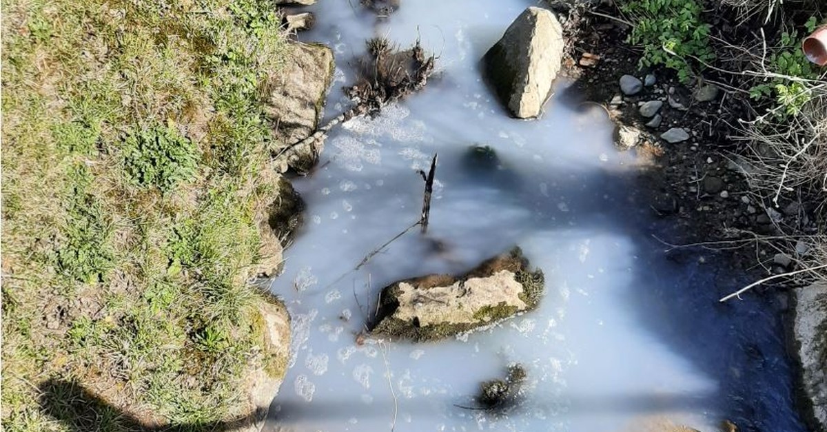 Milch verschmutzt Bach in Villariaz FR