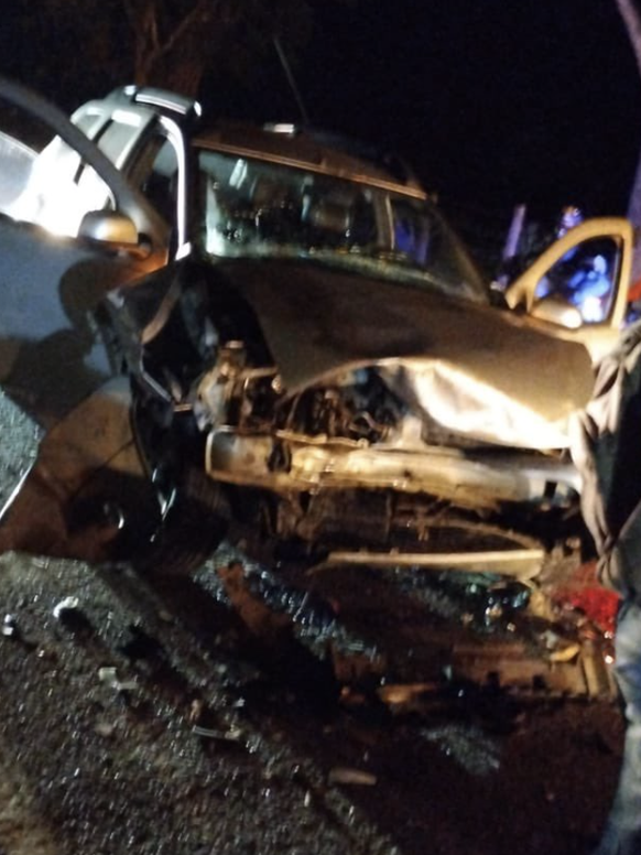 The car that collided with the hippo on Tuesday is a total loss.