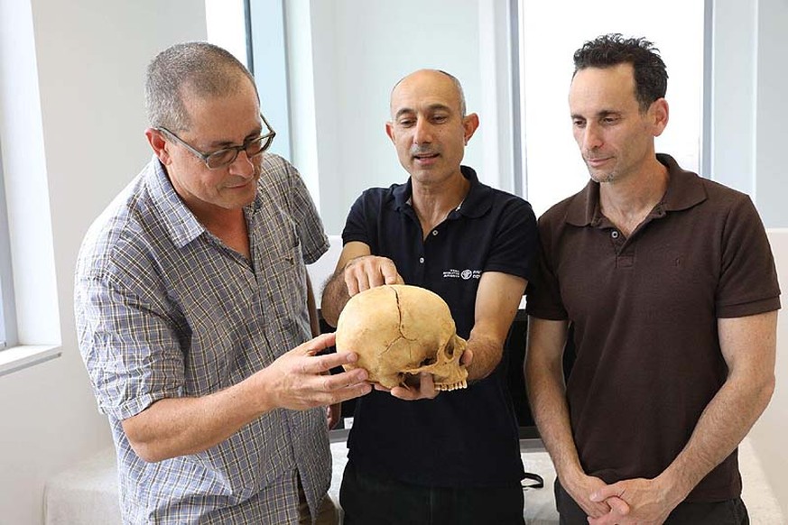 Die Wissenschaftler Boaz Zissu, Yossi Nagar und Haim Cohen (v.l.) mit dem Schädel aus der Höhle bei Jerusalem