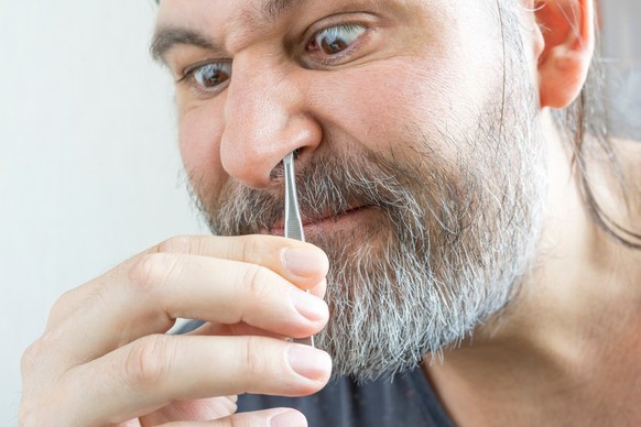 Counting nose hairs and licking stones: the 10 craziest research projects of the year