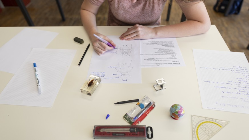 IM HINBLICK AUF DEN SCHULJAHRESBEGINN STELLEN WIR IHNEN FOLGENDES NEUES BILDMATERIAL VON MINT-FAECHERN AN GYMNASIALEN MATURITAETSCHULEN ZUR VERFUEGUNG --- A pupil of the class 2A pictured taking an ex ...