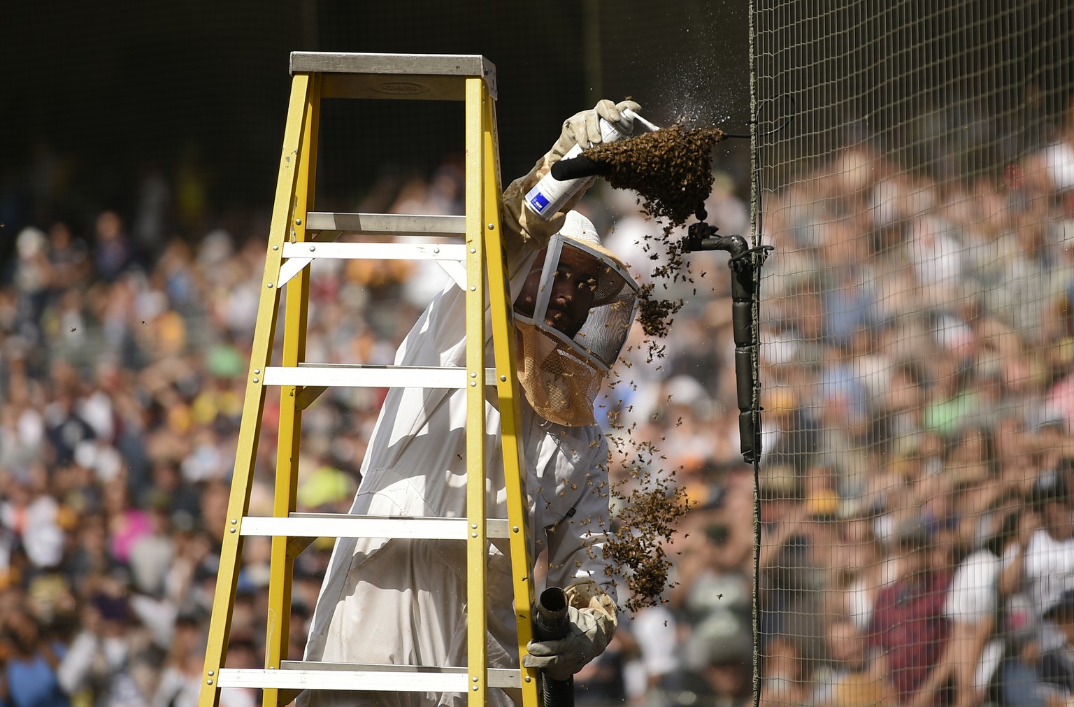 Trent Polcyn sprays a bee swarm on a microphone on the field which caused a delay during the third inning of a baseball game between the Miami Marlins and the San Diego Padres in San Diego, Sunday, Ju ...