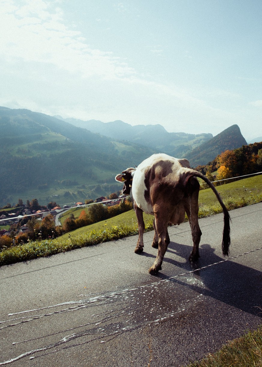 Prättigauer Alp Spektakel in Seewis, Oktober 2022