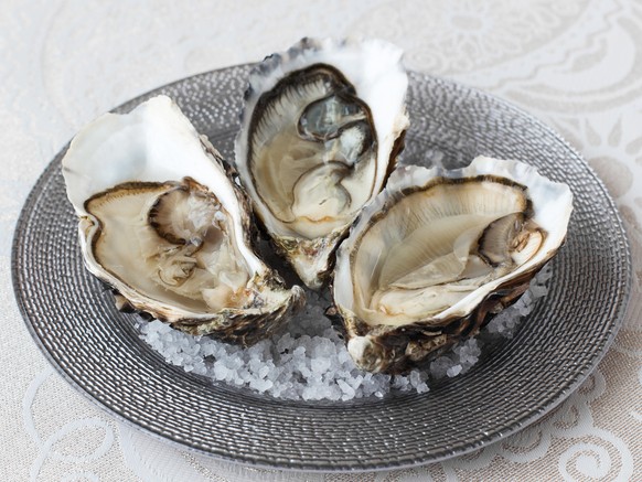 Austern meeresfrüchte fisch essen food frankreich weihnachten