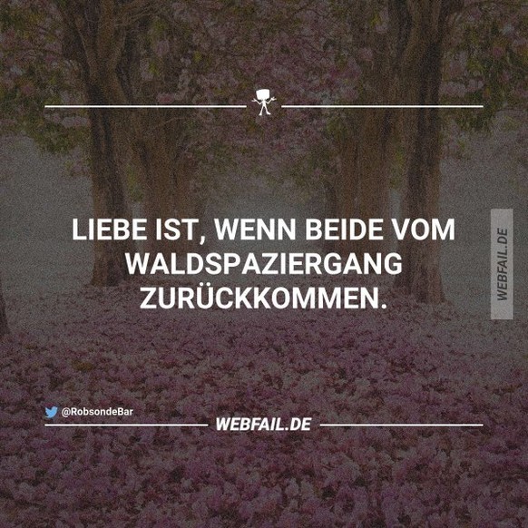 Immer noch alle weg! Ausser mir: PICDUMP! рџЊќ
miau!