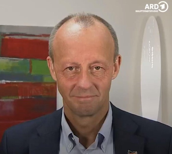 friedrich merz