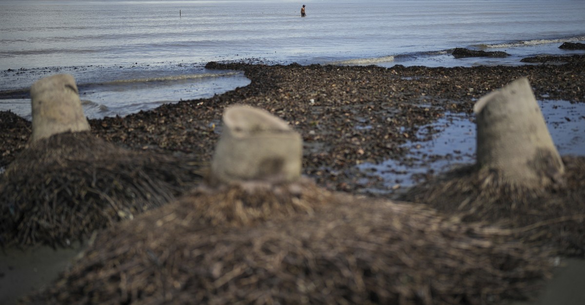 Schweres Erdbeben in Indonesien – Tsunamiwarnung auf den Molukken