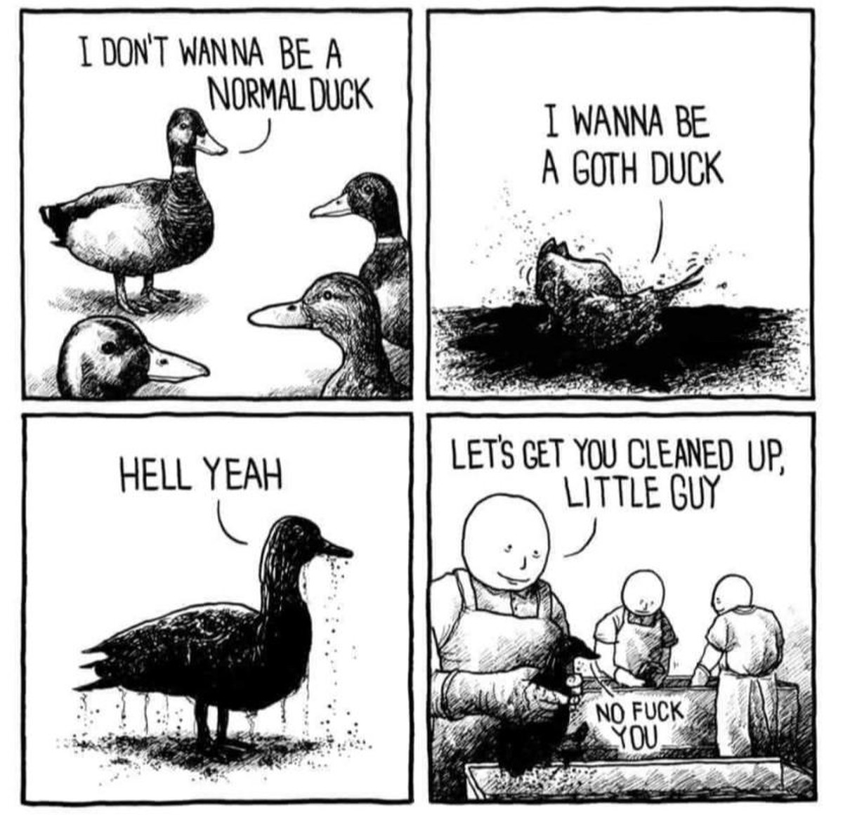 Liebe Echsenmenschen, der PICDUMP ist da! Hopp!\nрџ¦†