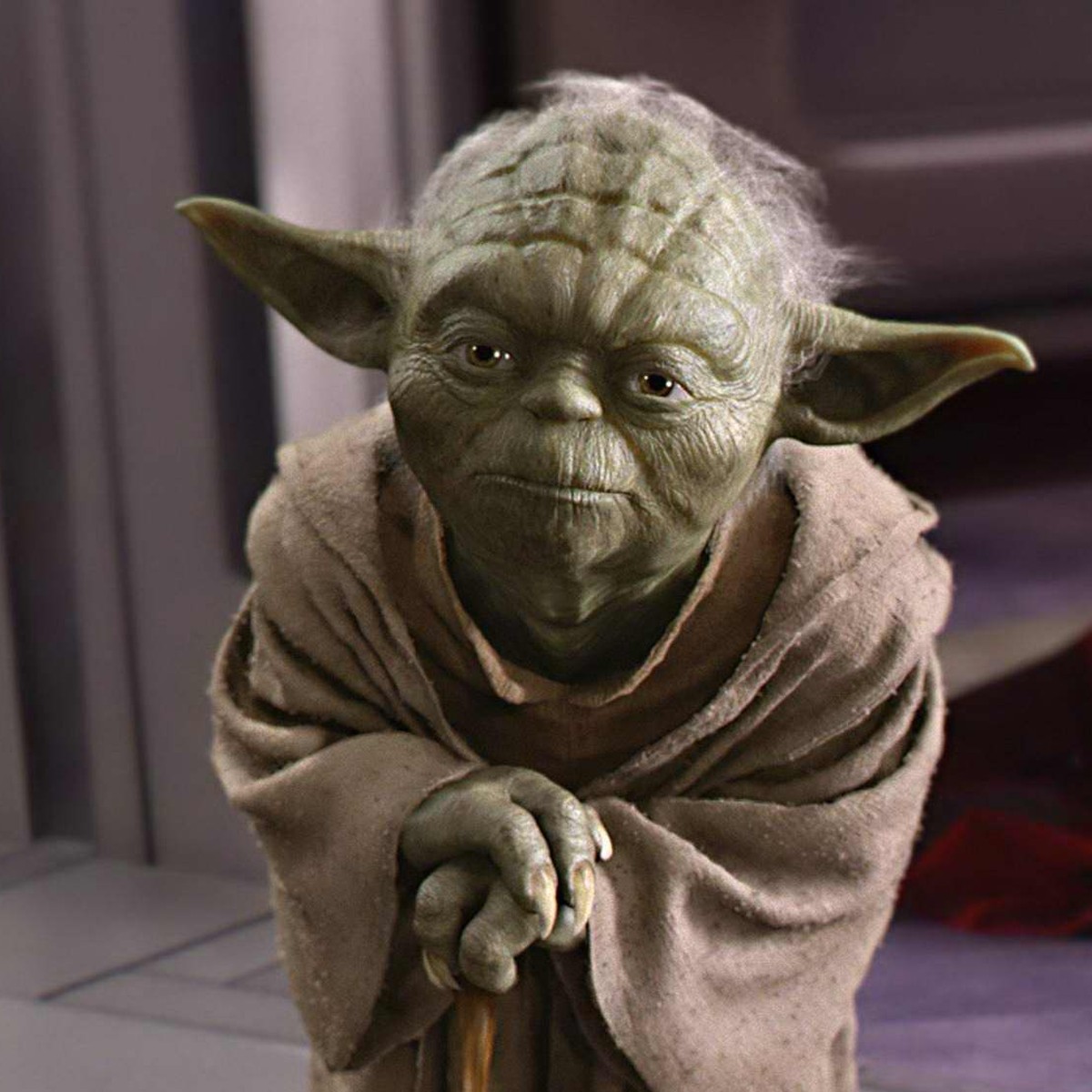 yoda affe maske star wars http://www.blastr.com/2013-11-19/rare-star-wars-photos-reveal-trained-monkey-who-almost-played-yoda