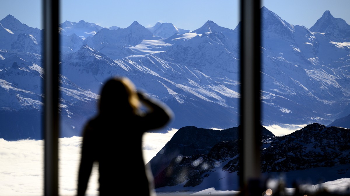 KI-untersucht-in-den-Alpen-das-geheime-Leben-von-F-chsen-und-Co-