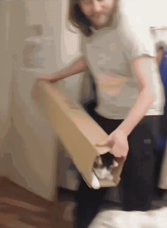 Animiertes GIF