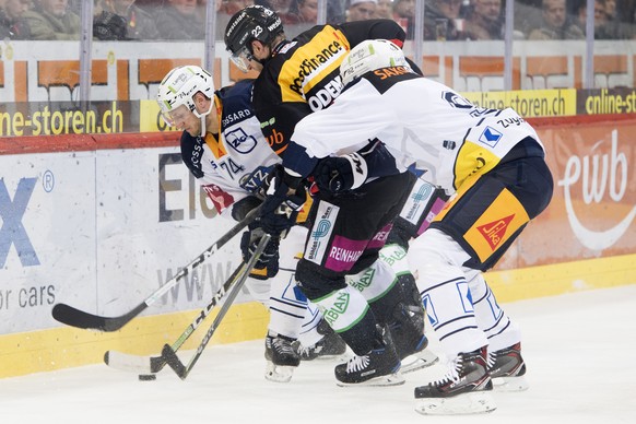 Zugs Johan Morant, links, Berns Simon Bodenmann, mitte, und Zugs Victor Oejdemark, rechts, kaempfen um den Puck, beim Eishockey Meisterschaftsspiel der National League zwischen den SC Bern und dem EV  ...