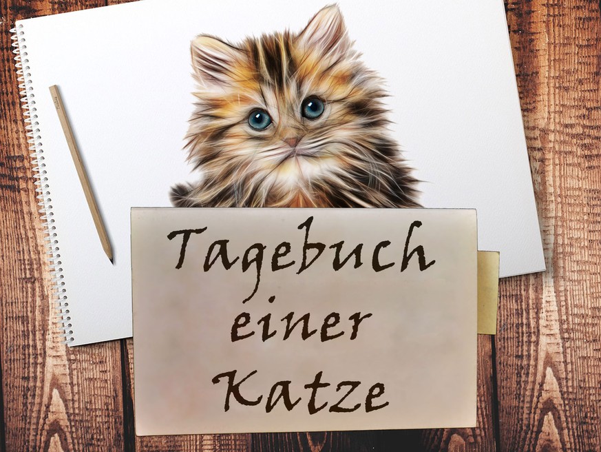 «Liebes Tagebuch, heute war der schlimmste Tag meines Lebens!»