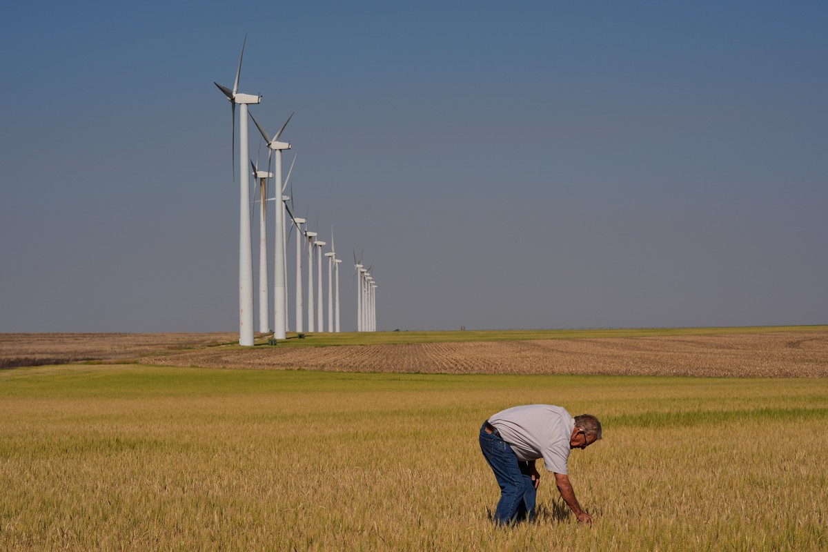 KEYPIX - Farmer Orville Williams looks at drought-stressed wheat in one of his fields Saturday, May 16, 2026, near Montezuma, Kan. (KEYSTONE/AP Photo/Charlie Riedel)