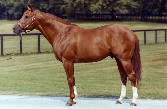 Secretariat