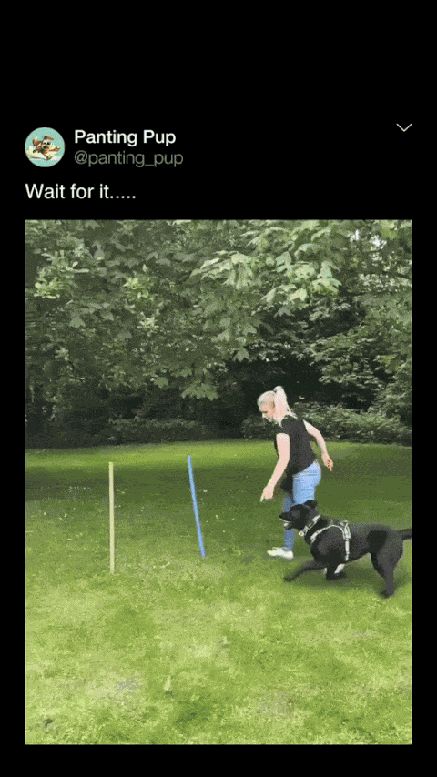 Animiertes GIF