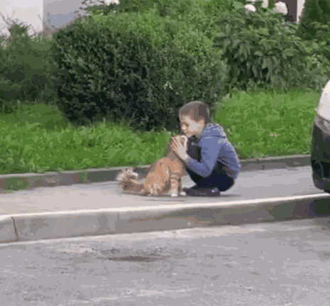 Animiertes GIF