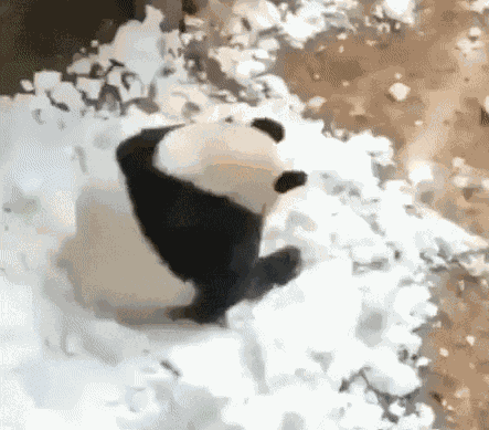 Animiertes GIF