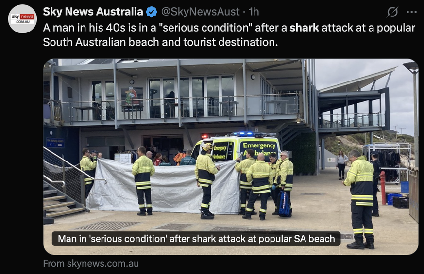 South Australia man in serious condition after shark attack