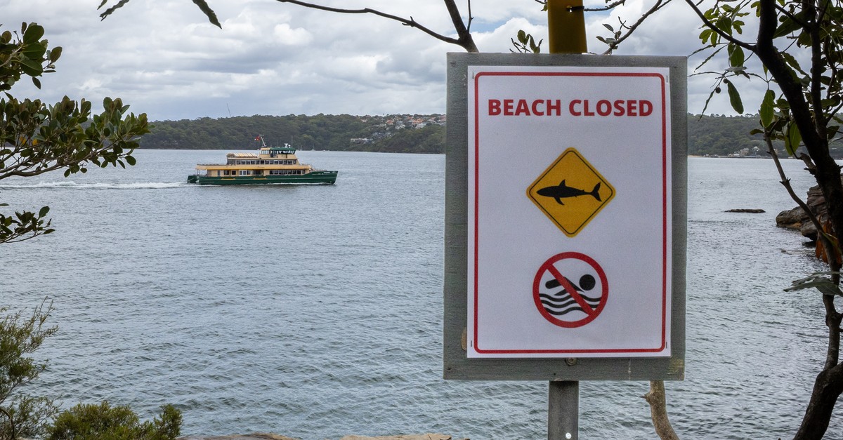 haiattacke-in-australien-12-j-hriger-erliegt-seinen-verletzungen