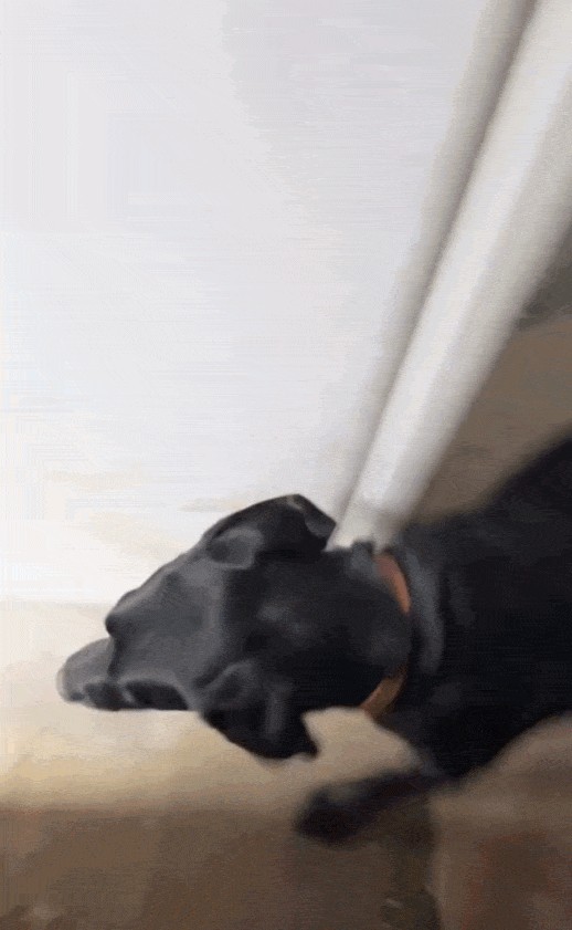 Animiertes GIF