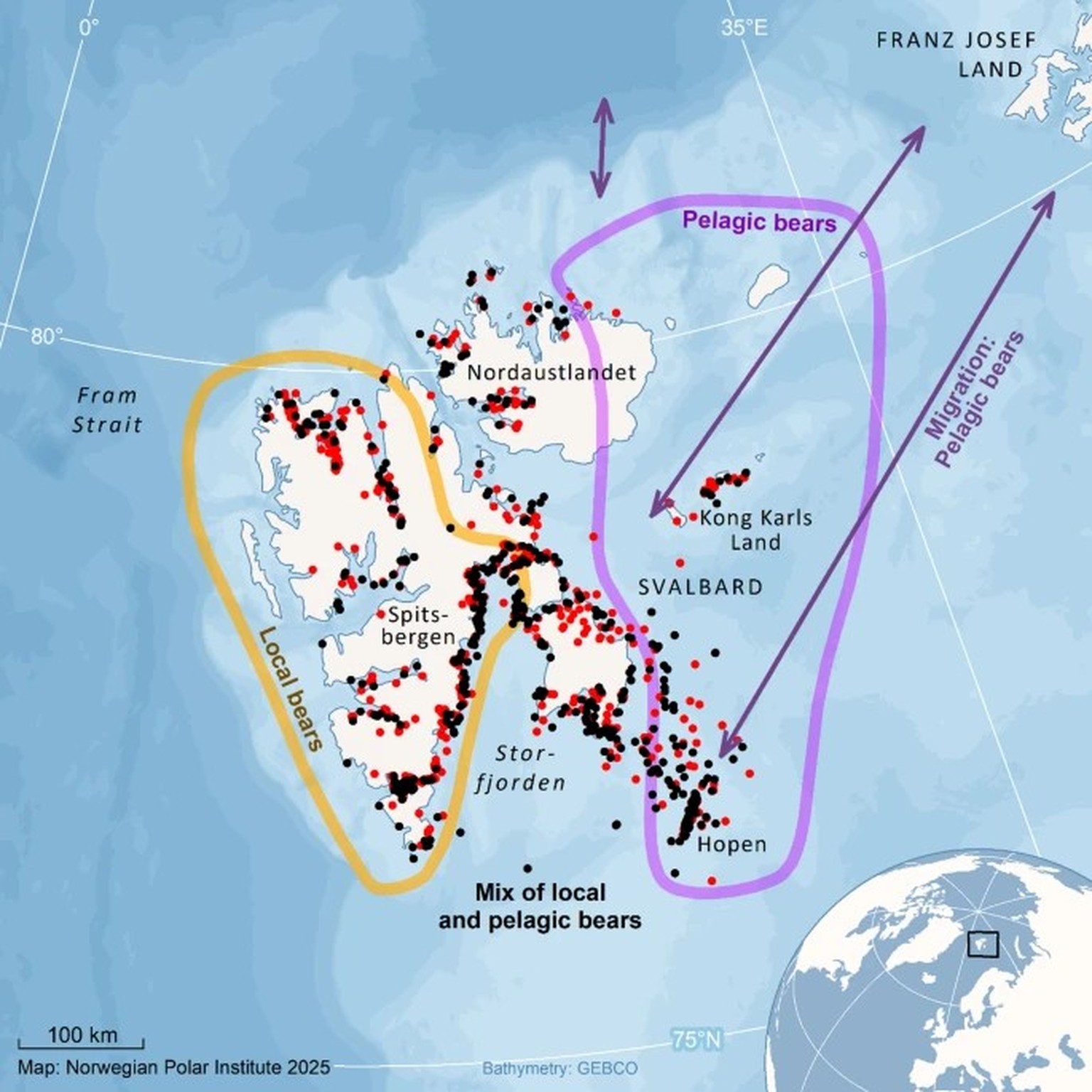 Die Karte zeigt das Gebiet mit Fängen (Männchen = schwarze Punkte, Weibchen = rote Punkte). Der gelbe Kreis zeigt das Gebiet, in dem die gefangenen Bären in der Regel zum „lokalen“ Ökotyp gehören, der ...