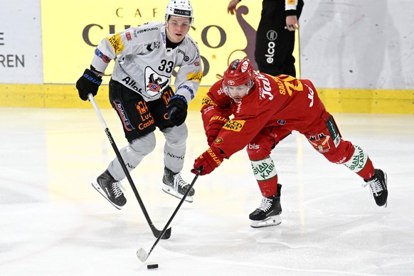 Tigers Joel Salzgeber, rechts, im Kampf um den Puck gegen Fribourgs Ludvig Johnson, links, beim Eishockey-Qualifikationsspiel der National League, zwischen den SCL Tigers und dem HC Fribourg-Gotteron, ...